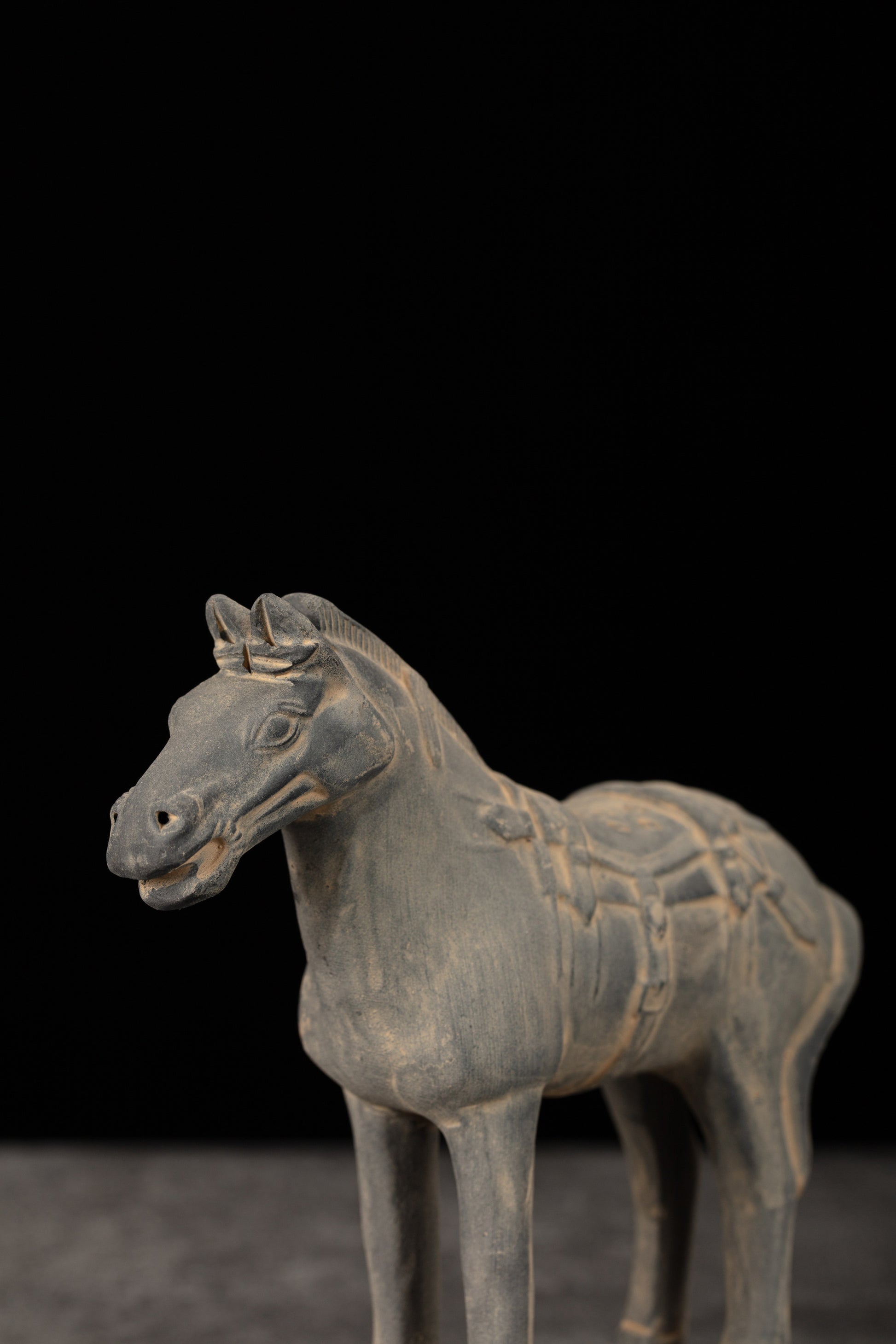 15CM Horse - CLAYARMY -Close-up of the expressive eyes and ears, showcasing the realism of our 15CM Clayarmy Terracotta Horse.