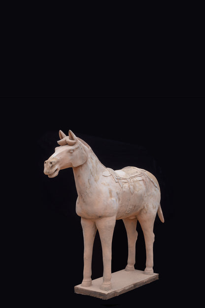 1.8M Horse - CLAYARMY -Dynamic view highlighting the monumental scale and craftsmanship of our 1.8M Terracotta Horse.