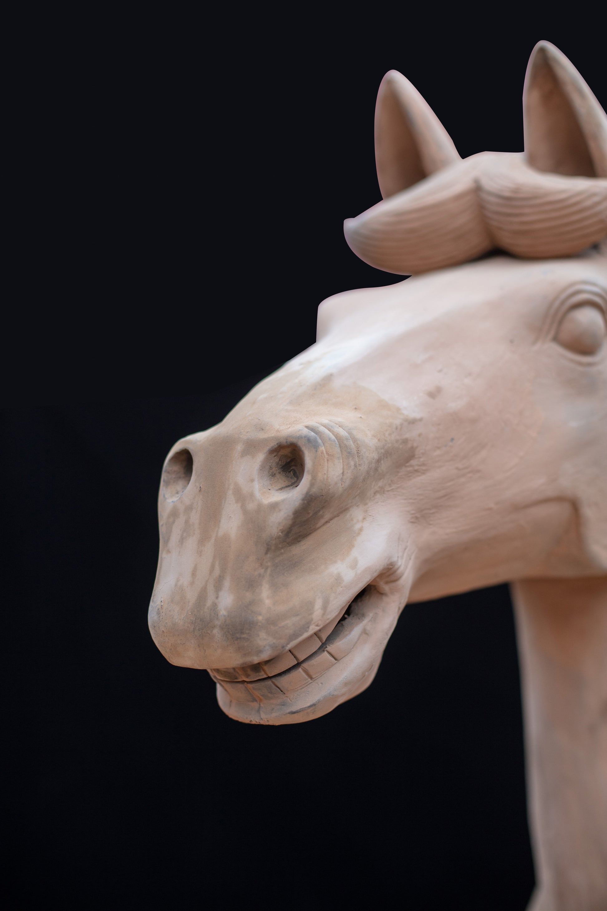 1.8M Horse - CLAYARMY -Dynamic angle capturing the regal presence and intricate detailing of our 1.8M Clayarmy Terracotta Horse.