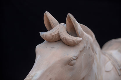 1.8M Horse - CLAYARMY -Close-up of the expressive eyes, revealing the realistic gaze and soulful expression of our 1.8M Clayarmy Terracotta Horse.