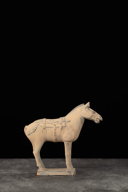 20CM Horse - CLAYARMY -Side view highlighting the lifelike features and compact size of our 20CM Clayarmy Terracotta Horse.