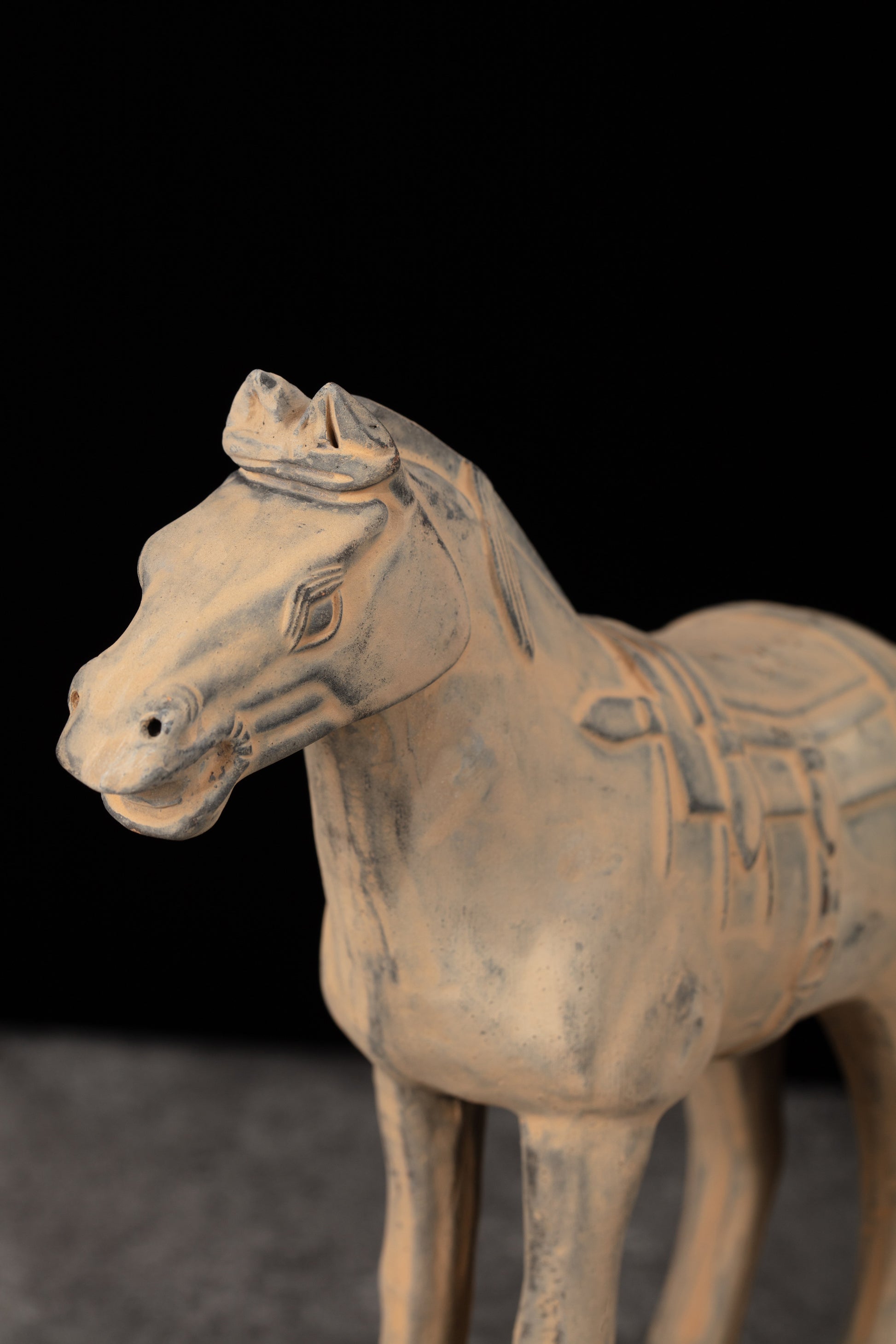 20CM Horse - CLAYARMY -Close-up of the expressive eyes and ears, highlighting the realism of our 20CM Clayarmy Terracotta Horse.