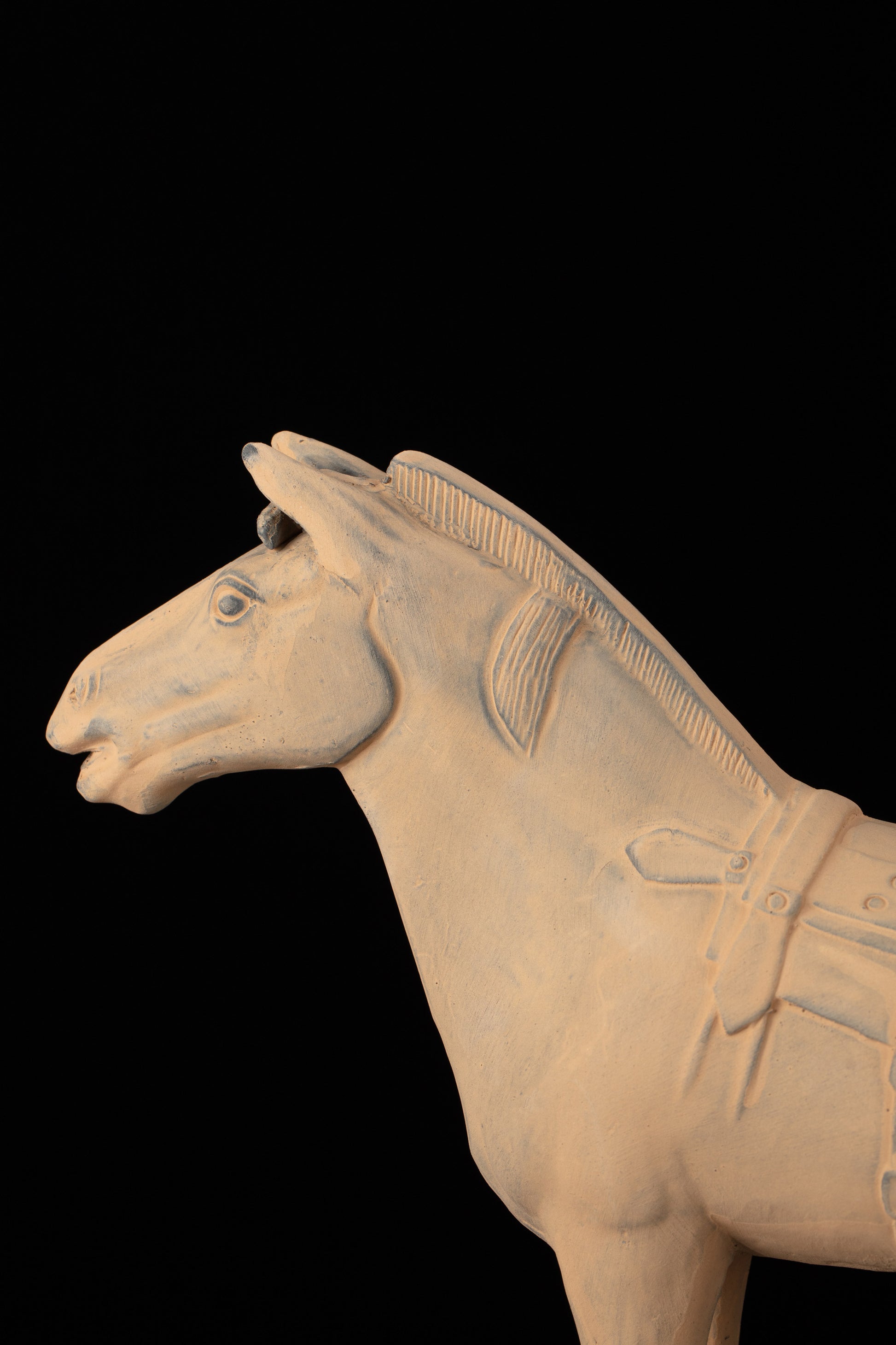 45CM Horse - CLAYARMY -Profile shot emphasizing the grace and charm of our 45CM Clayarmy Terracotta Horse.