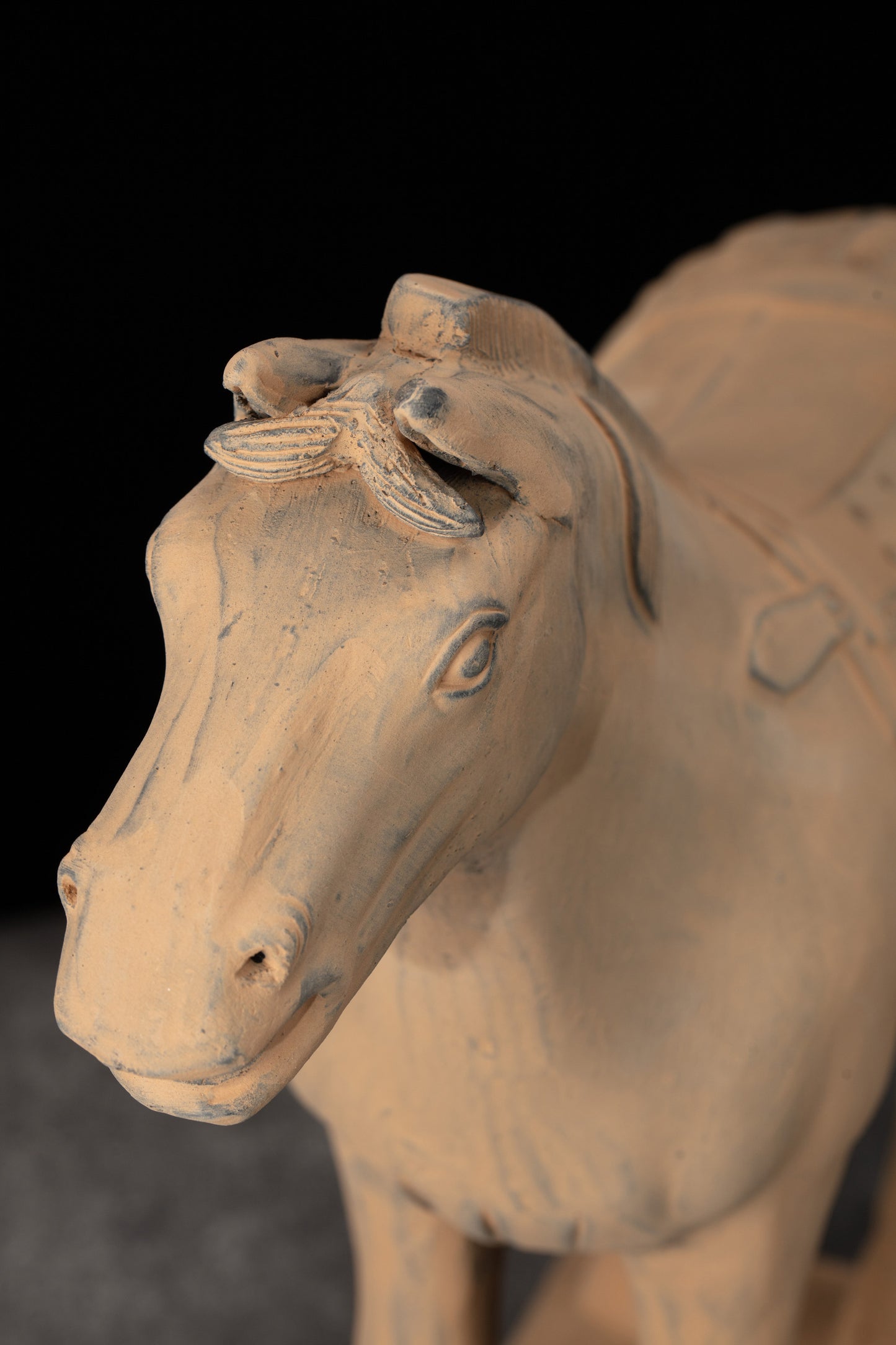 45CM Horse - CLAYARMY -Close-up of the expressive eyes, capturing the spirit and vitality of our 45CM Clayarmy Terracotta Horse.