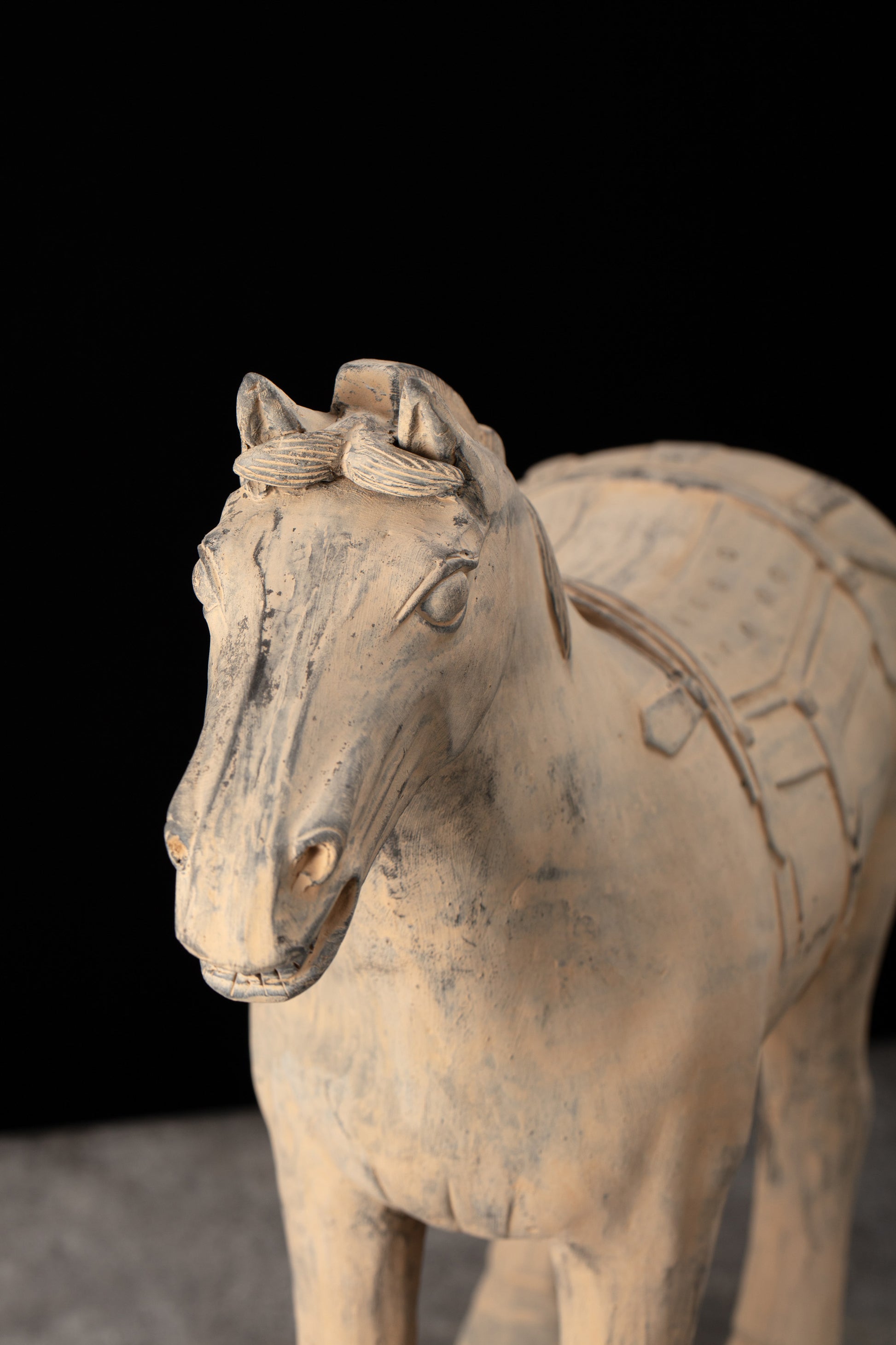 55CM Horse - CLAYARMY -Front view showcasing the lifelike pose and intricate detailing of our 55CM Clayarmy Terracotta Horse.