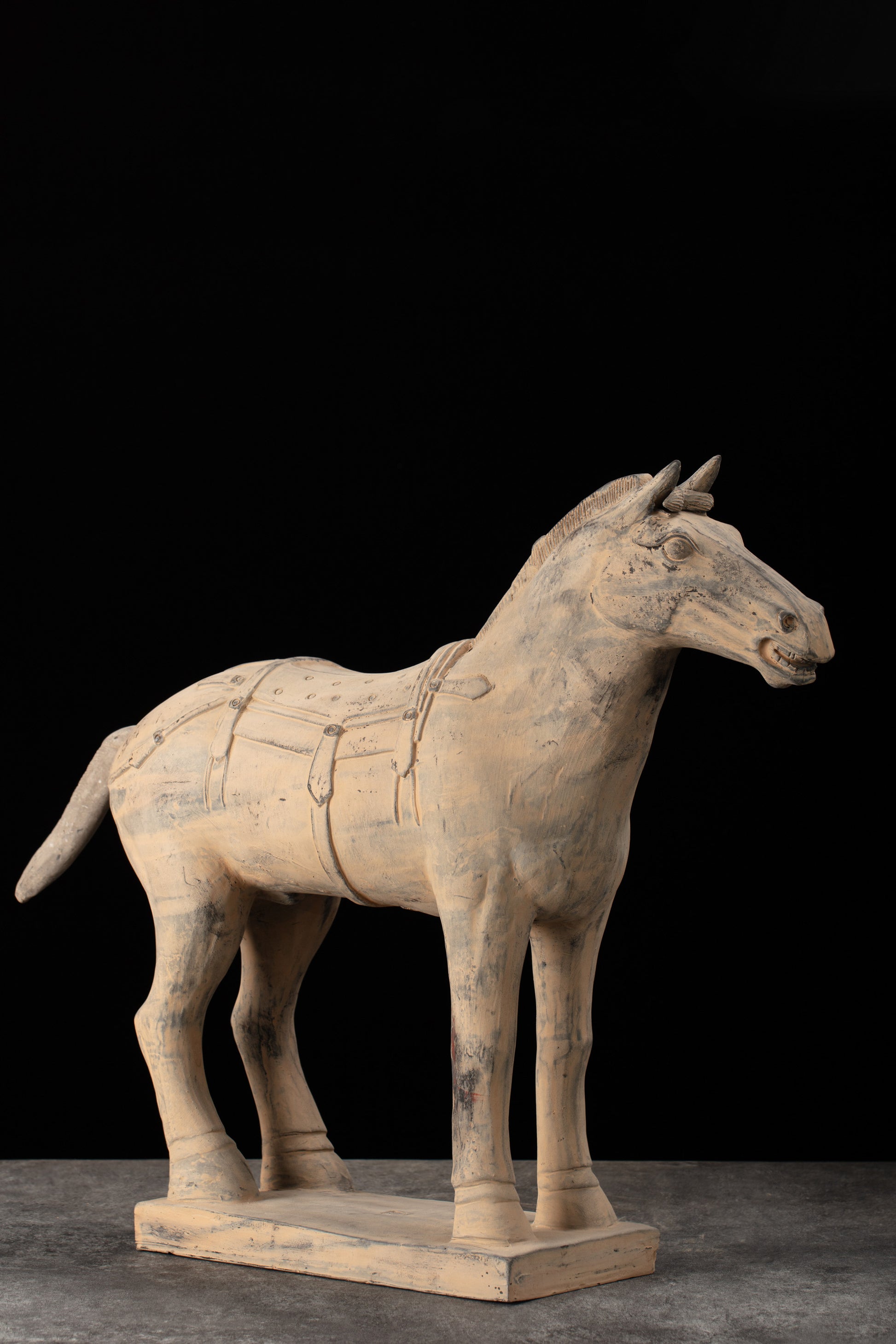 55CM Horse - CLAYARMY -Side view showcasing the elegant proportions and lifelike details of our 55CM Clayarmy Terracotta Horse.