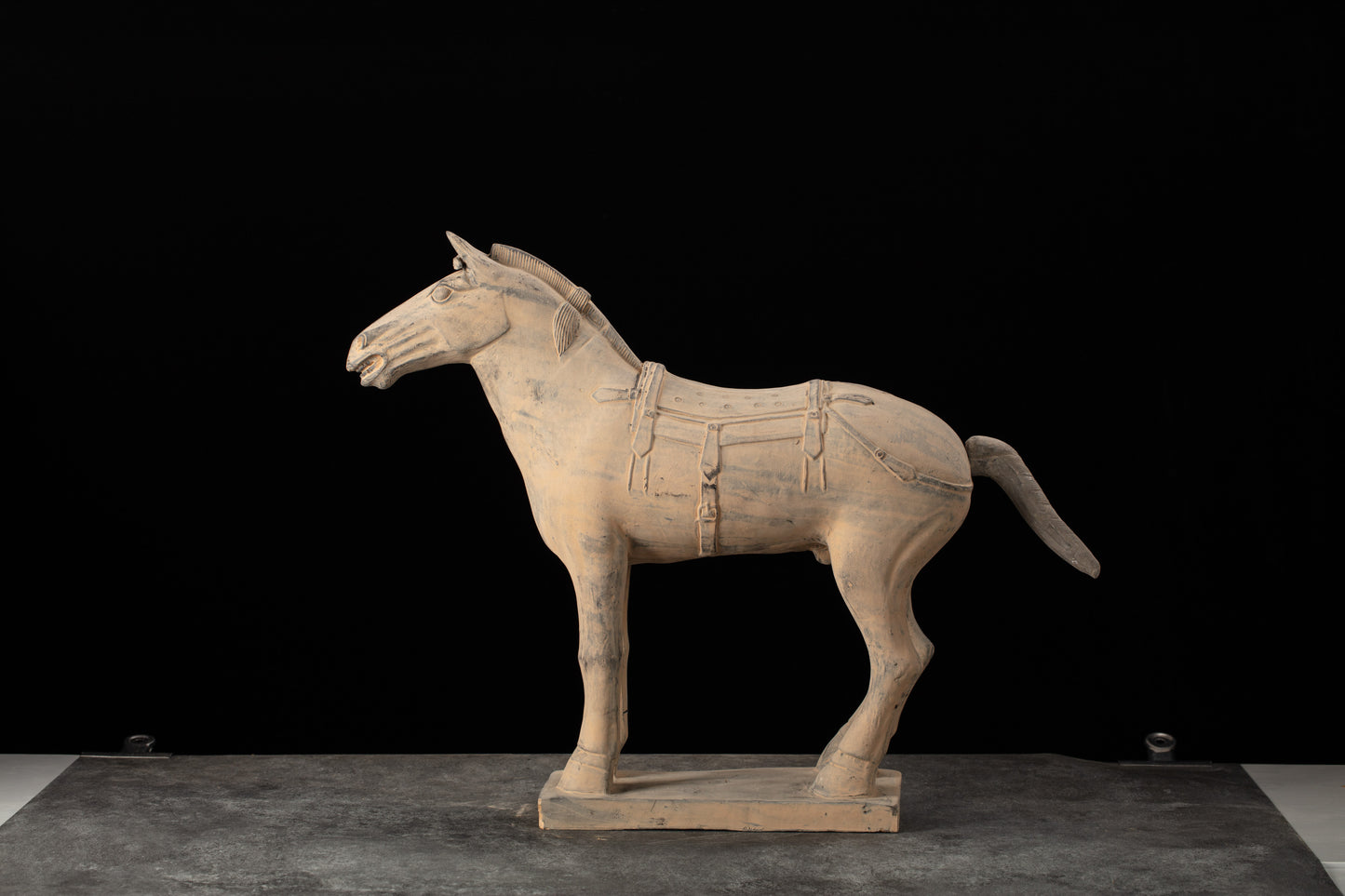 55CM Horse - CLAYARMY -Profile shot emphasizing the majestic posture and intricate patterns of our 55CM Clayarmy Terracotta Horse.
