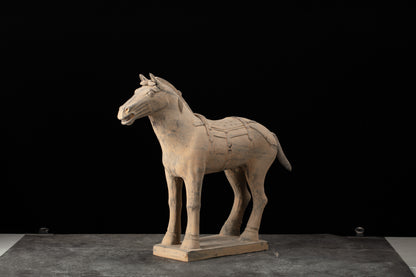 55CM Horse - CLAYARMY -Dynamic angle capturing the regal presence and intricate craftsmanship of our 55CM Clayarmy Terracotta Horse.