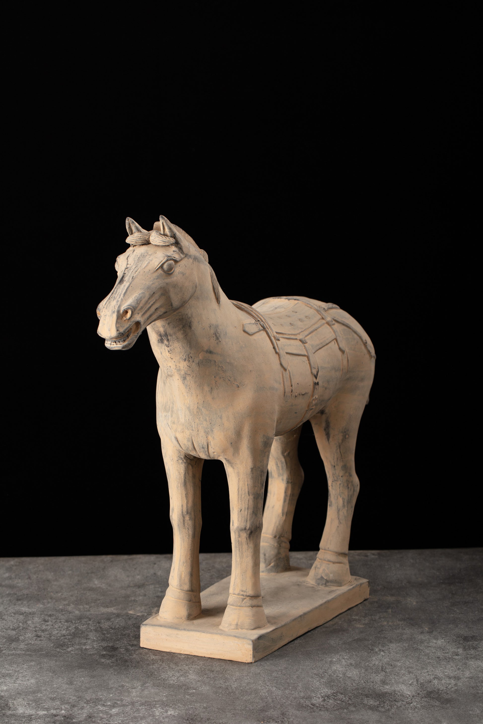 55CM Horse - CLAYARMY -Side view emphasizing the grandeur and proportions of our 55CM Clayarmy Terracotta Horse.