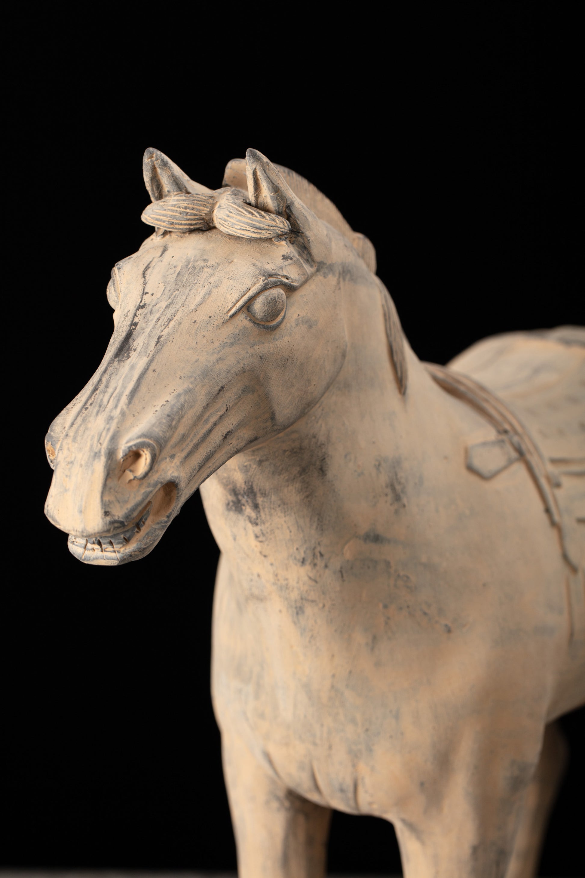 55CM Horse - CLAYARMY -Close-up of the facial features, capturing the spirit and authenticity of our 55CM Clayarmy Terracotta Horse.
