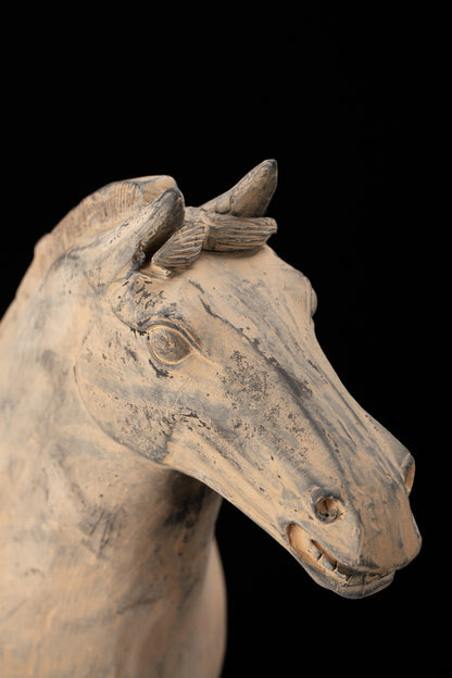 55CM Horse - CLAYARMY -Close-up of the expressive eyes, highlighting the realistic gaze of our 55CM Clayarmy Terracotta Horse.