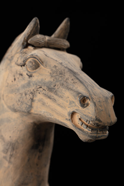 55CM Horse - CLAYARMY -Side profile highlighting the ornate features and lifelike expression of our 55CM Clayarmy Terracotta Horse.