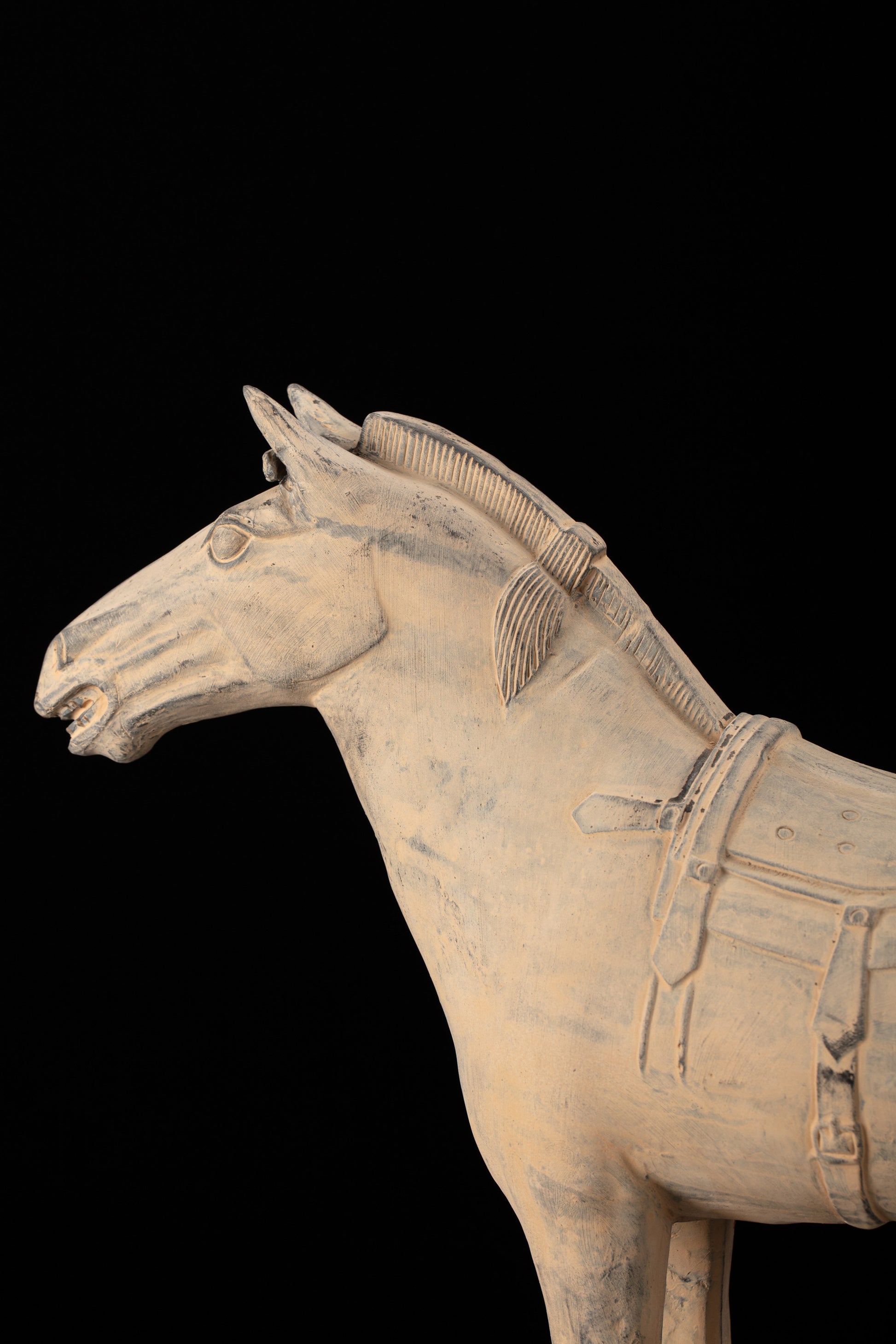 55CM Horse - CLAYARMY -Detailed close-up of Clayarmy's 55CM Terracotta Horse – Lifelike features in yellow-brown clay.