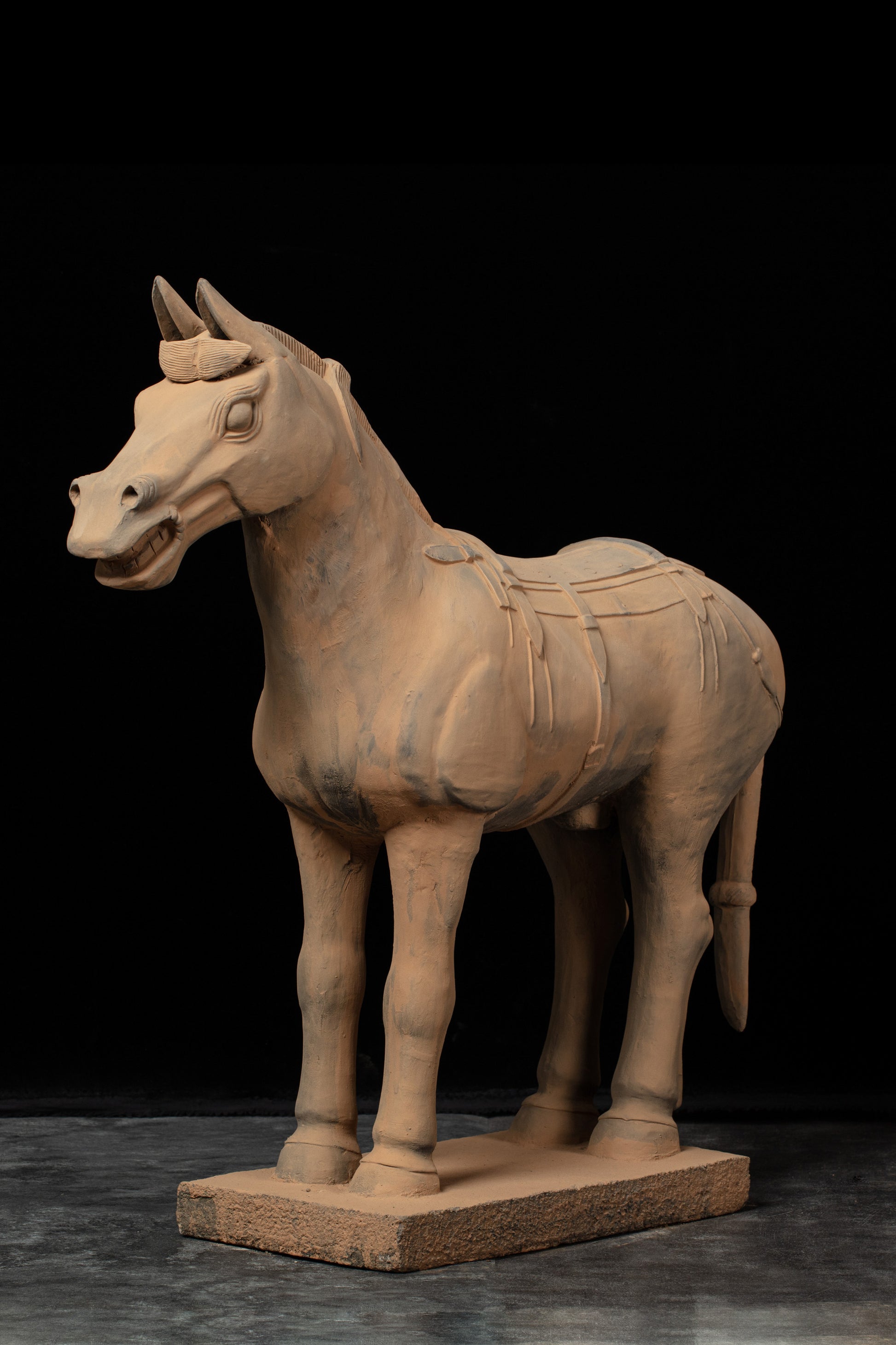 70CM Horse - CLAYARMY -Side view capturing the lifelike proportions and intricate detailing of our 70CM Clayarmy Terracotta Horse.