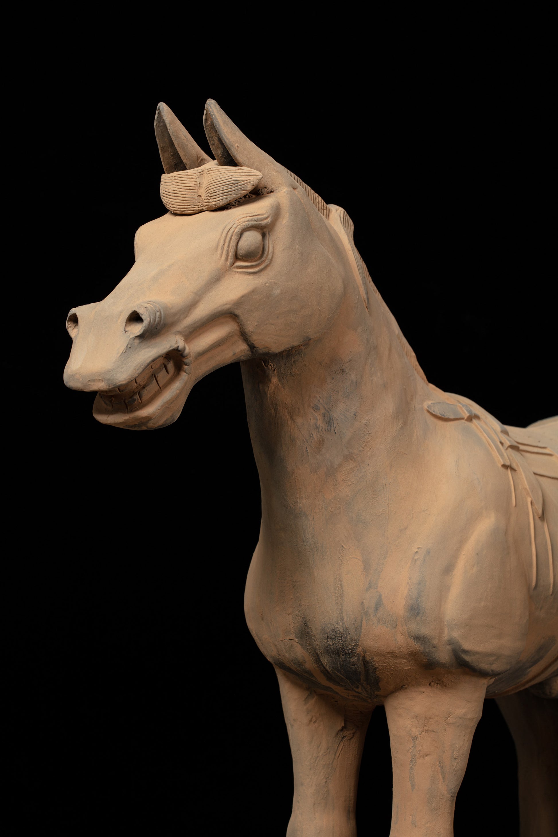 70CM Horse - CLAYARMY -Dynamic angle capturing the regal presence and intricate detailing of our 70CM Clayarmy Terracotta Horse.
