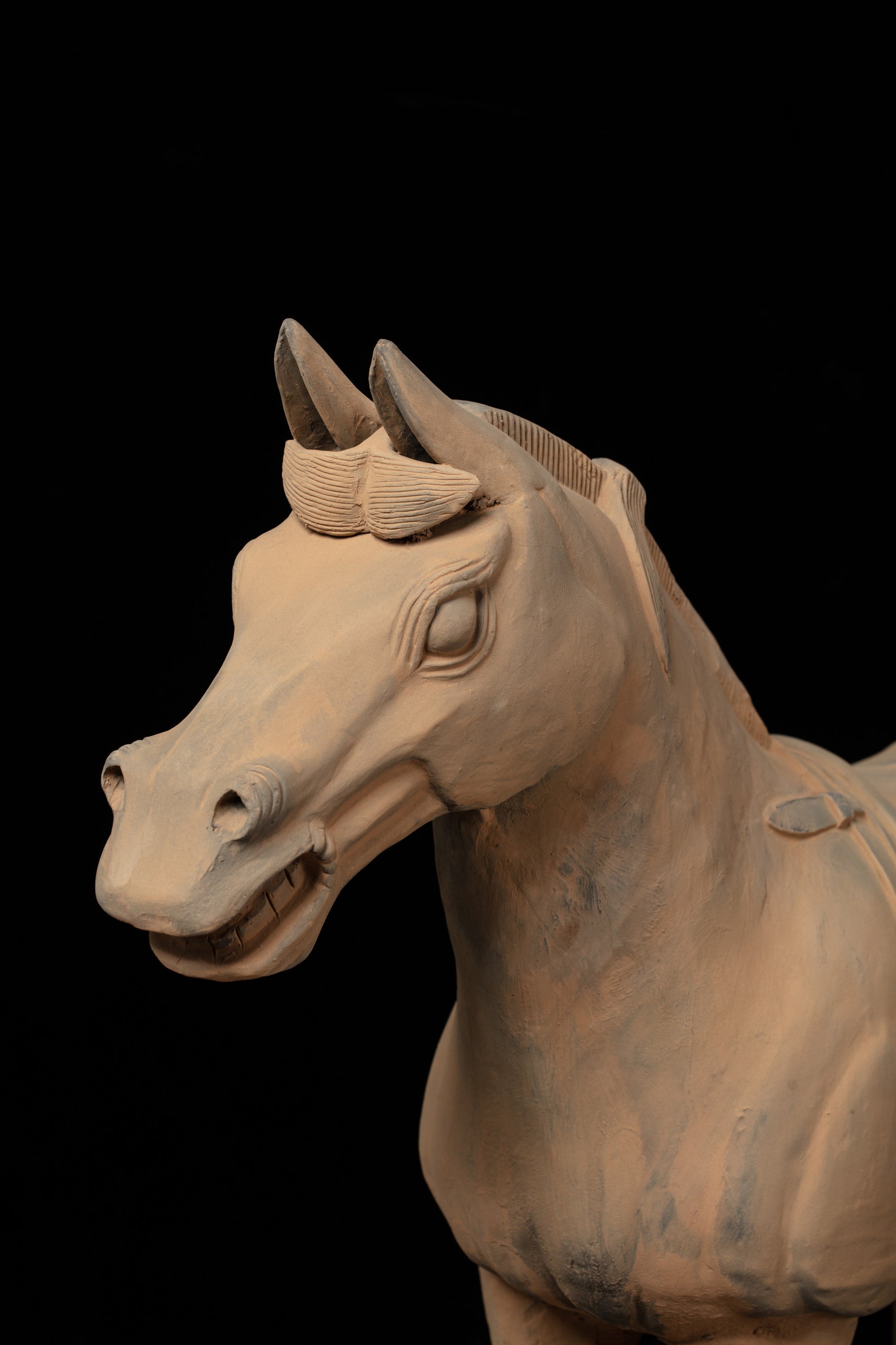 70CM Horse - CLAYARMY -Close-up detail of Clayarmy's 70CM Terracotta Horse – Exquisite craftsmanship in rich yellow-brown clay.
