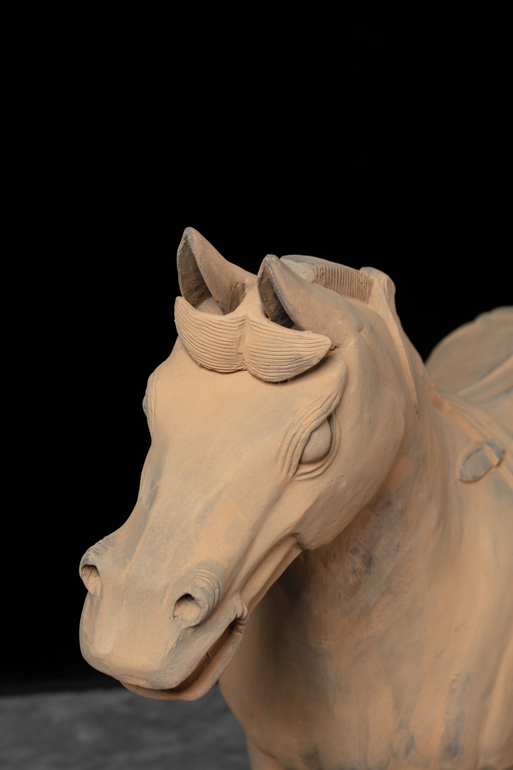 70CM Horse - CLAYARMY -Close-up of the expressive eyes, revealing the realistic gaze and soulful expression of our 70CM Clayarmy Terracotta Horse.