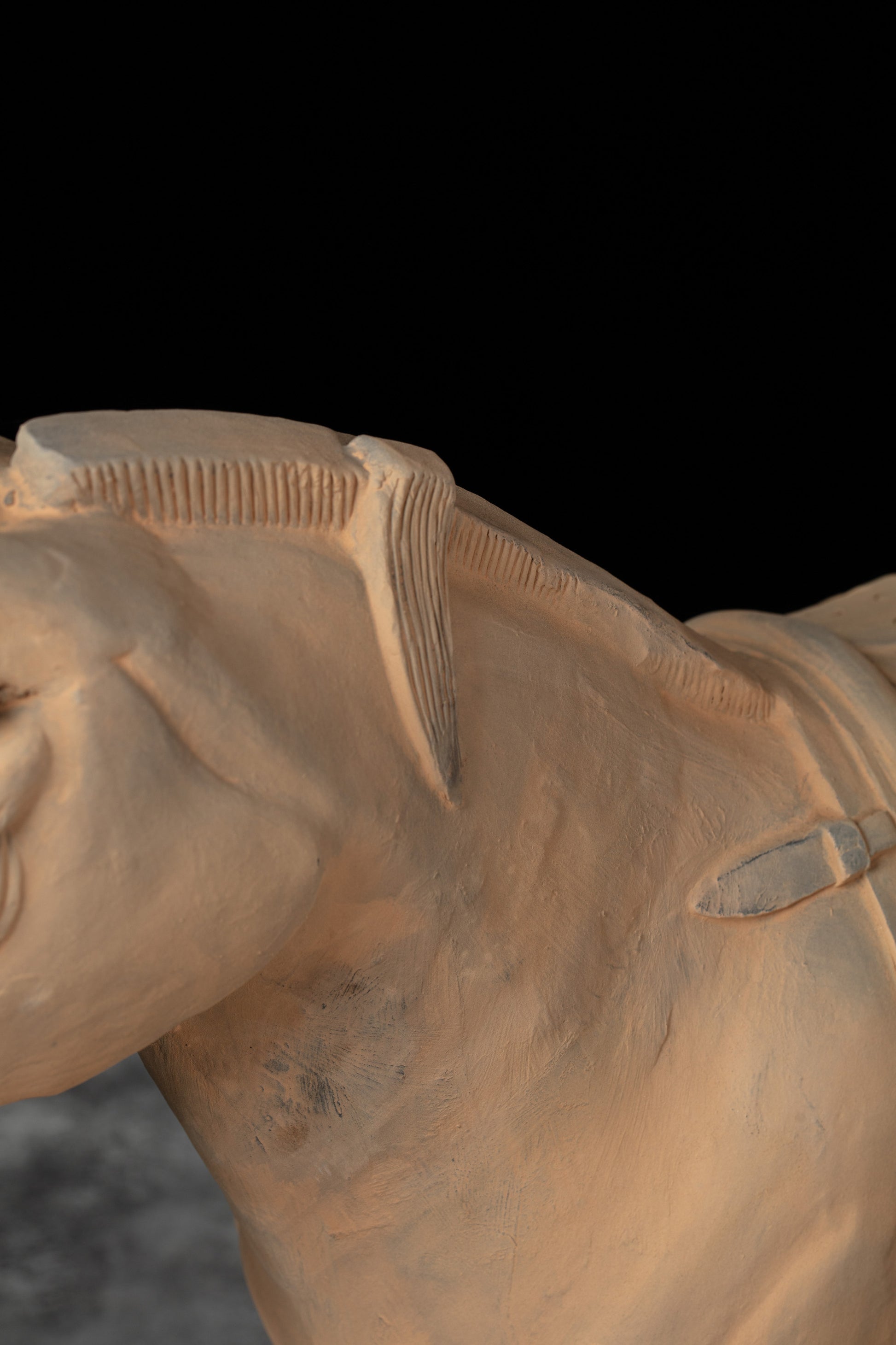 70CM Horse - CLAYARMY -Close-up detail of Clayarmy's 70CM Terracotta Horse – Lifelike features in yellow-brown clay.