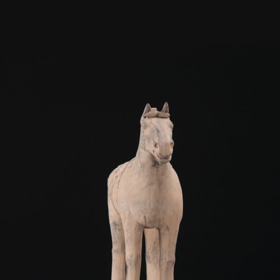 55CM Horse - CLAYARMY -Embark on a visual journey with our 55CM Clayarmy Terracotta Horse. Explore the intricate details and craftsmanship in this captivating video.